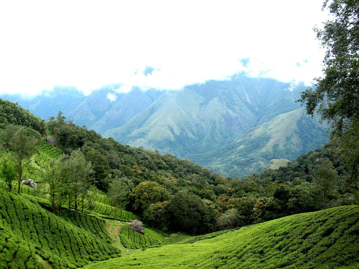 Echo Point, Kerala — Day 1 — the valley answers back.
