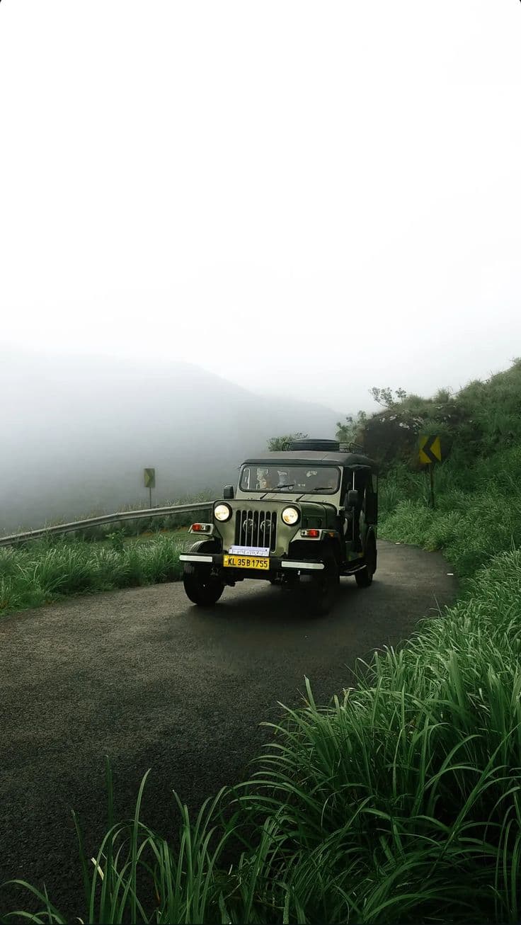 Into the Mist, Kerala — The hairpins above Munnar, early, before the cloud lifts.