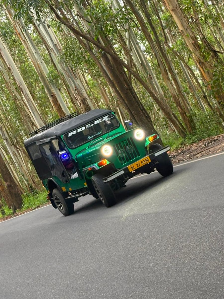 On the Road, Kerala — Climbing the estate road through the eucalyptus.