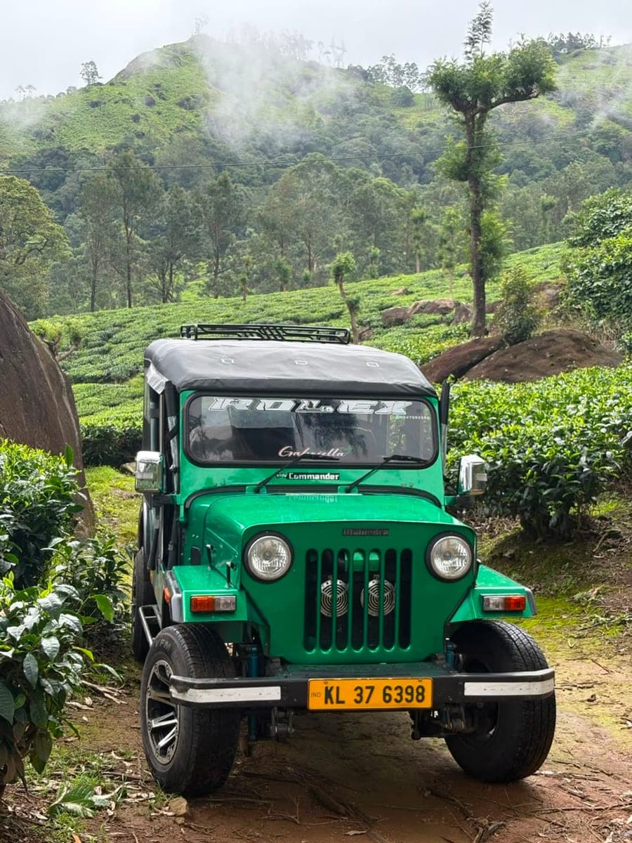 Our Fleet, Kerala — Parked in the tea, waiting for the cloud to burn off.