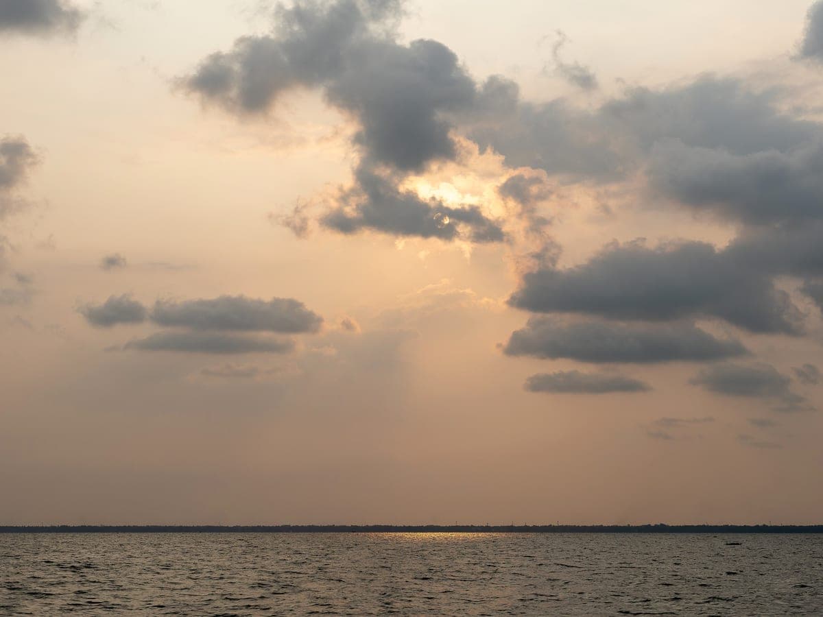 The Vembanad wetlands near Kumarakom at first light