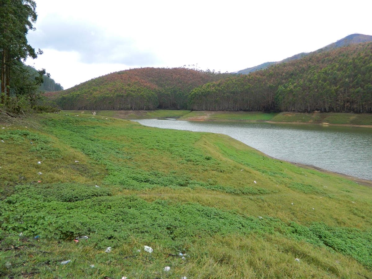 Mattupetty Dam, Kerala — Day 1 — still water under the ridge.