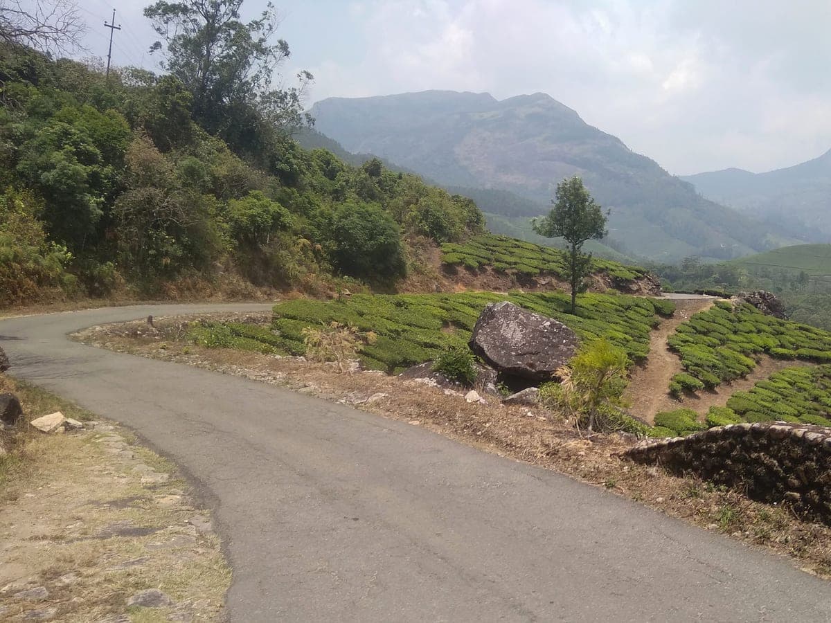 Munnar Hill Country — Munnar · Idukki