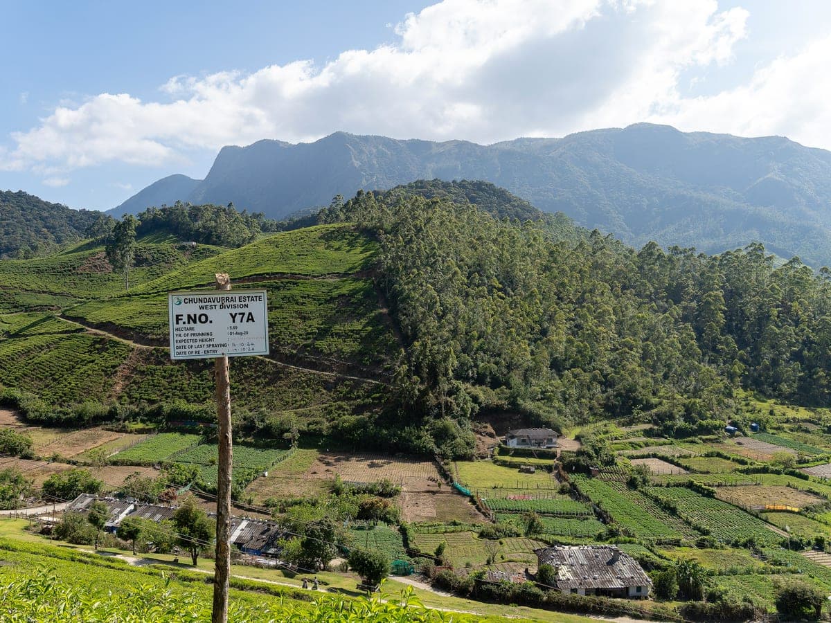 Top Station, Kerala — Day 1 — the highway to the Tamil Nadu border.